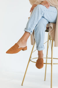 Into the City Camel Mules